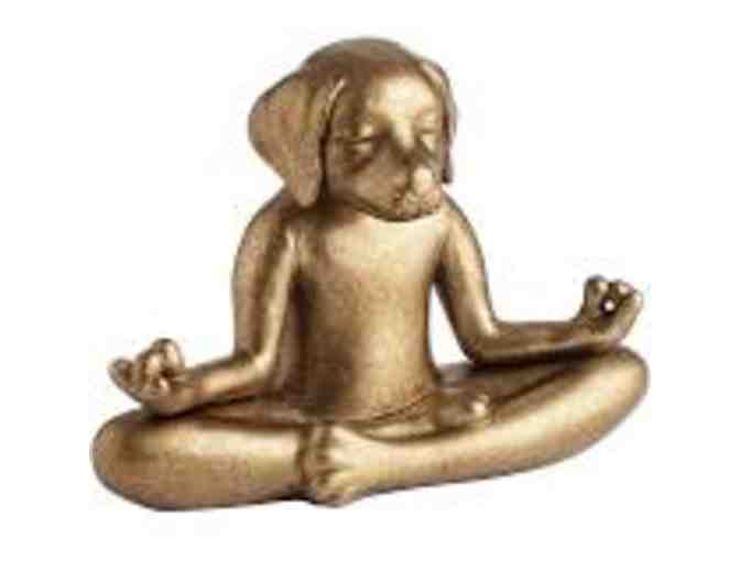 Doggie Care Package with grooming session, large dog bed by Jax & Bones, & Dog Yoga statue