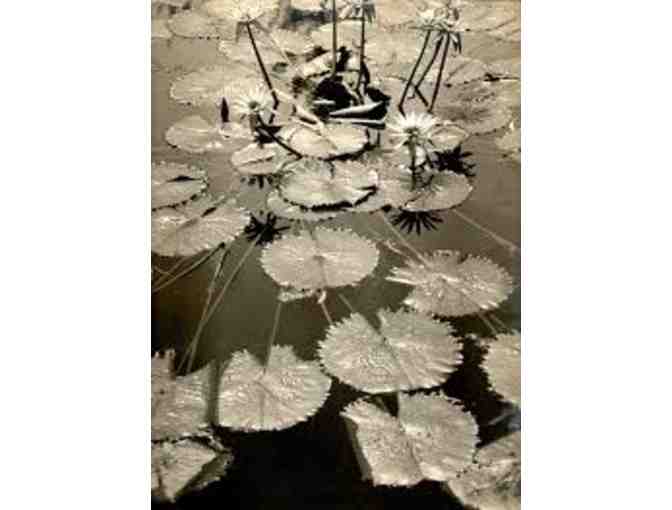 Two Free Family Admission Passes to the Japanese American National Museum