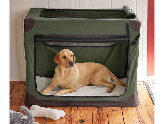 Orvis Folding Travel Crate for Large Dogs