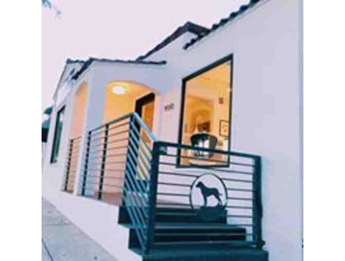 Doggie Care Package with grooming session, large dog bed by Jax & Bones, & Dog Yoga statue