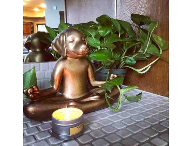 Doggie Care Package with grooming session, large dog bed by Jax & Bones, & Dog Yoga statue