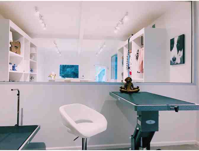 Doggie Care Package with grooming session, large dog bed by Jax & Bones, & Dog Yoga statue