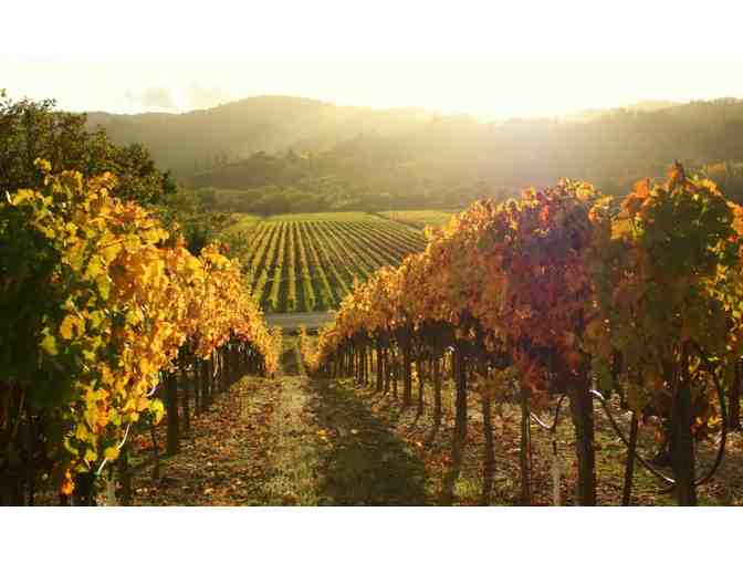 Wine Road Sonoma County Tasting Pass and Gift Pack