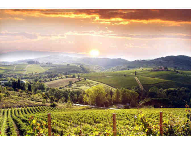 Wine Road Sonoma County Tasting Pass and Gift Pack