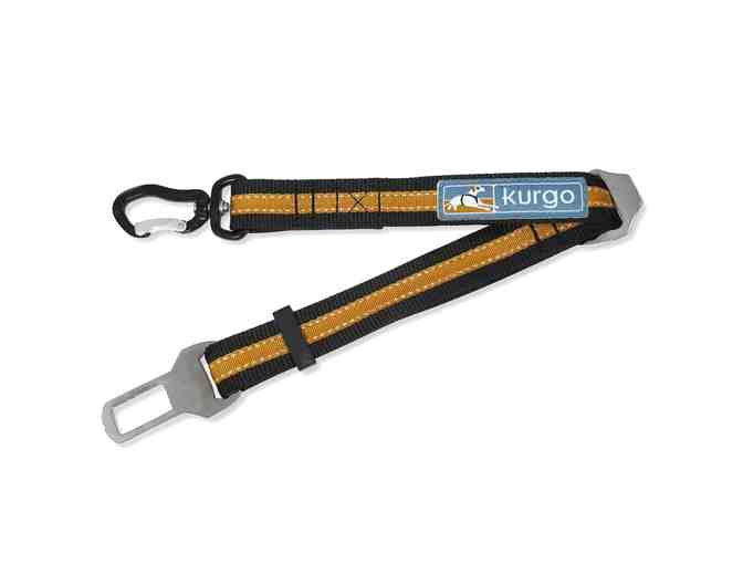 Kurgo Complete Road Trip Package for your Dog