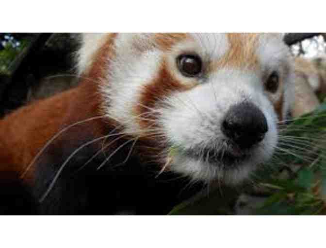 Four general admission passes to the Sacramento Zoo