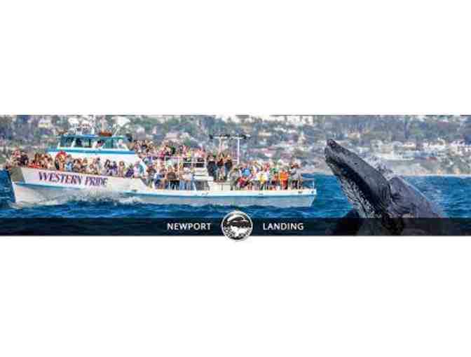 Whale Watching Passes for 2 in beautiful Newport Beach, CA