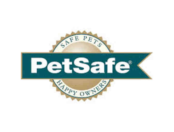 Small Dog Package with Car Harness, busy buddy, squeaker & crinkle toys