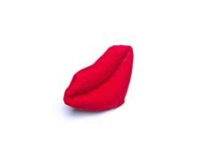 Medium- Large Dog Package with Car Harness, busy buddy, squeaker & crinkle toys