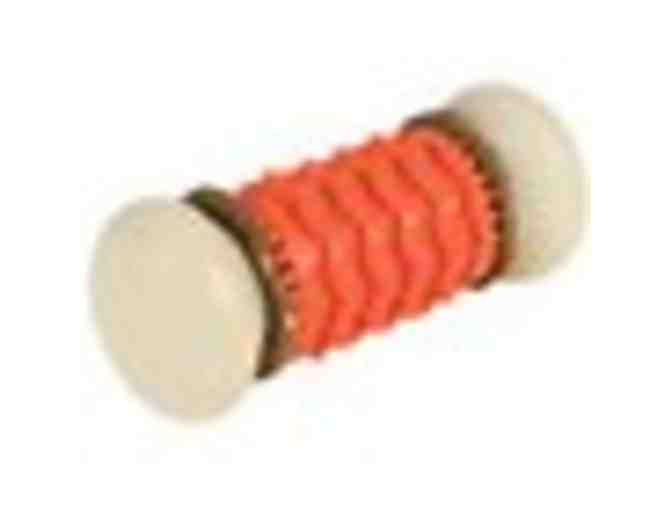 X-Large Dog Package with Car Harness, busy buddy, squeaker & crinkle toys