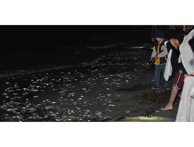 Family 4-pack of admission tickets & 'Meet the Grunion' at the Cabrillo Marine Aquarium