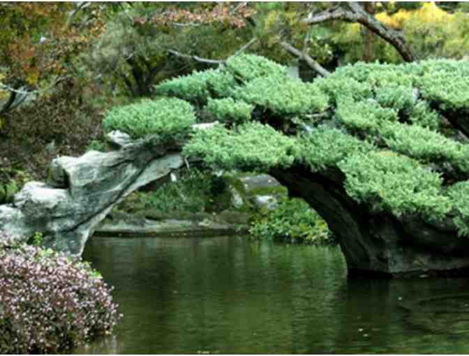 Docent Guided Cart Tour & Admission for 4 of the Los Angeles Zoo & Botanical Gardens