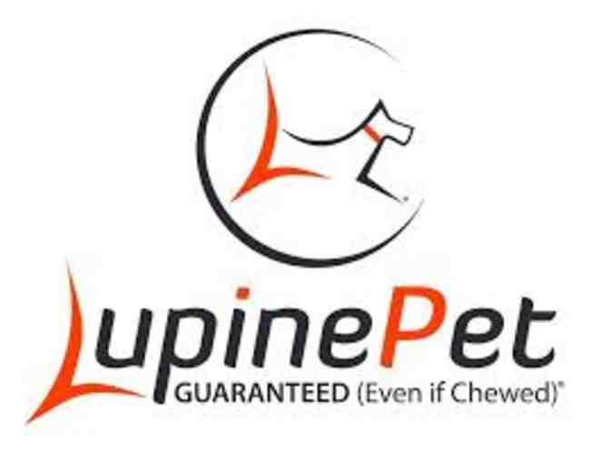 Augusta Green Collar & Leash from Lupine Pet