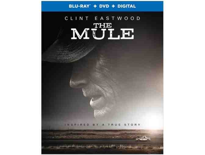 Assorted Blu-Ray & DVDs from Warner Bros Home Entertainment