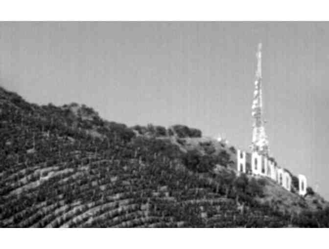 Hollywood Classic Wine Three Bottle Gift Set