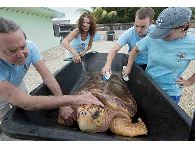 Admission for 2 adults and 2 children to the Living Coast Discovery Center