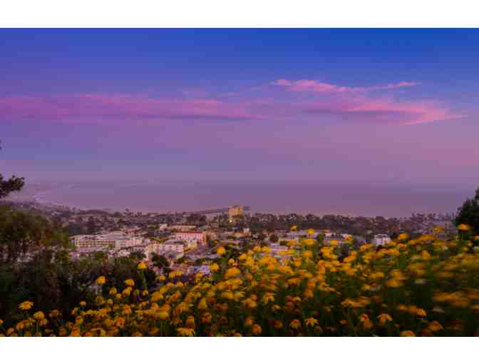 Dual Membership to Ventura Botanical Gardens