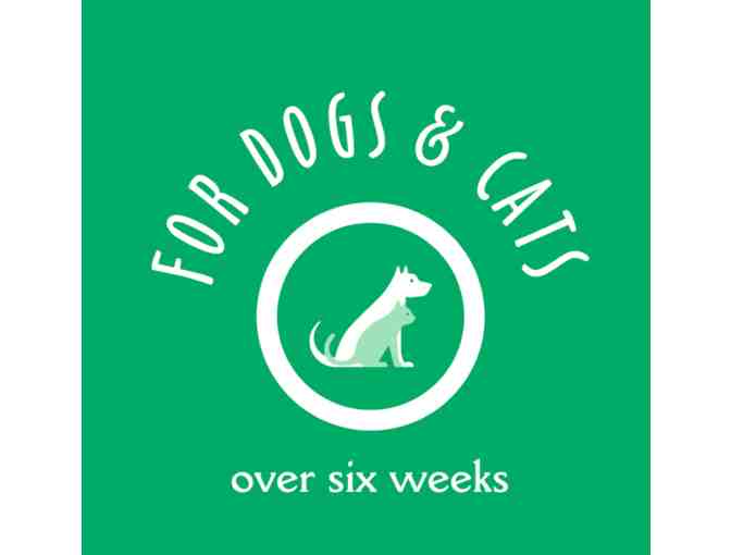 Earthbath Natural Pet Care Products Smooth As Butter Moisturizing Basket