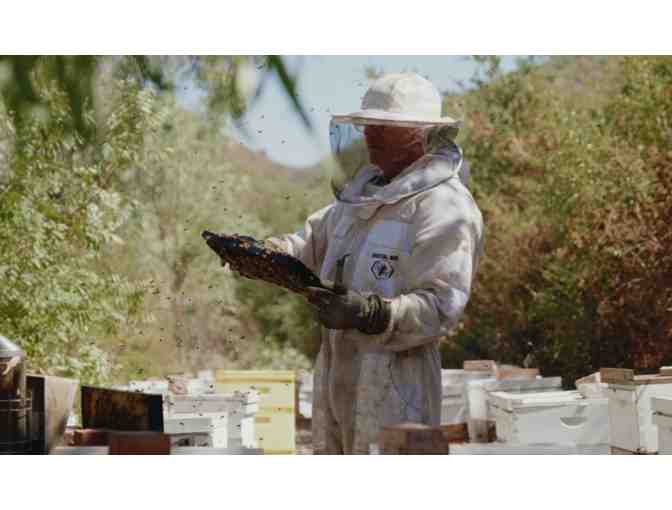 Private Beekeeping Class for up to 4 People