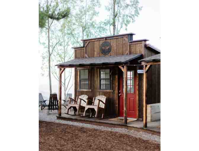 Private Beekeeping Class for up to 4 People