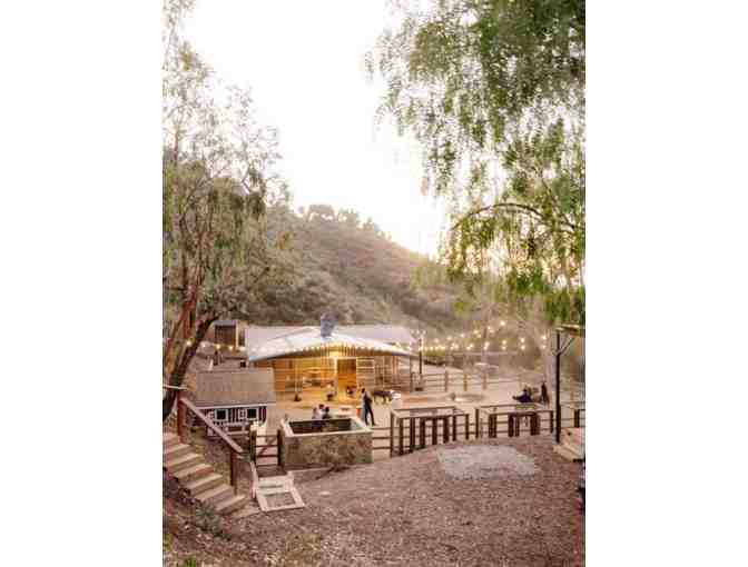 Private Beekeeping Class for up to 4 People