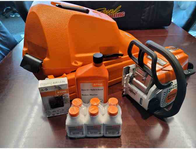 Stihl Chainsaw MS170 40 cm/16' blade and Carrier Package