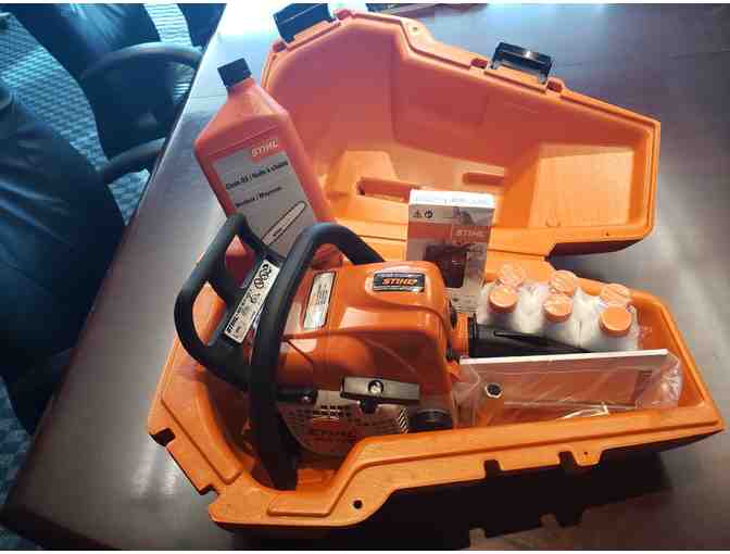 Stihl Chainsaw MS170 40 cm/16' blade and Carrier Package