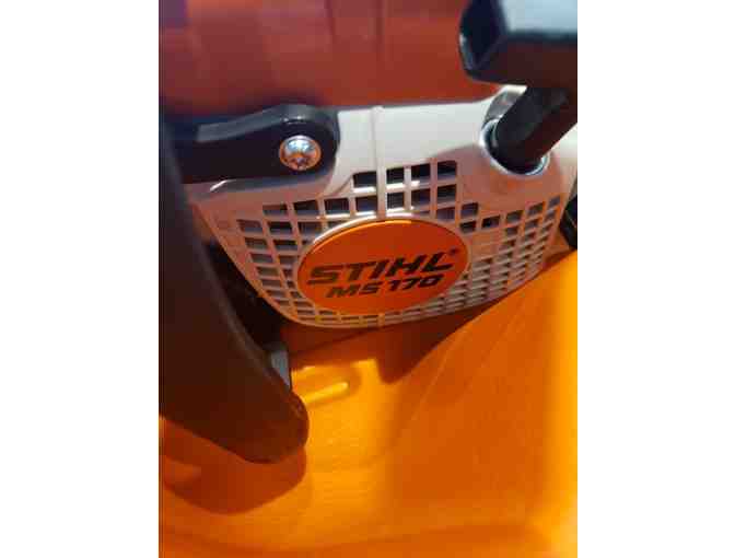 Stihl Chainsaw MS170 40 cm/16' blade and Carrier Package