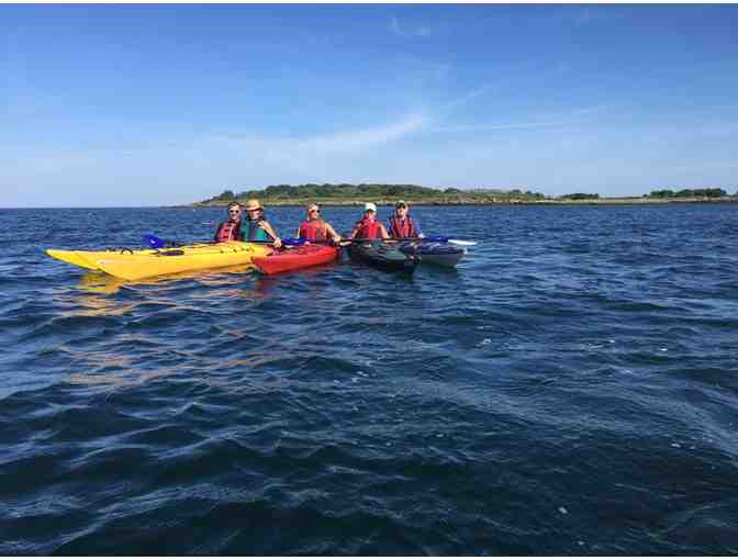 Kayak or Paddleboard tour for four