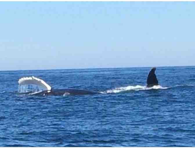 Offshore Fishing Excursion