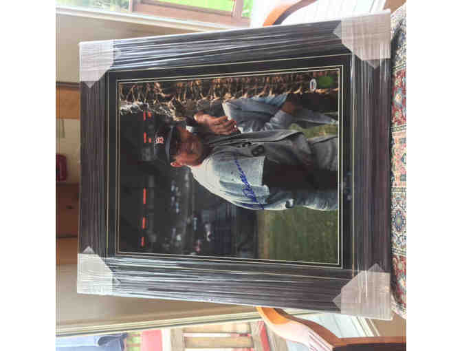 Ted Williams - autographed photo