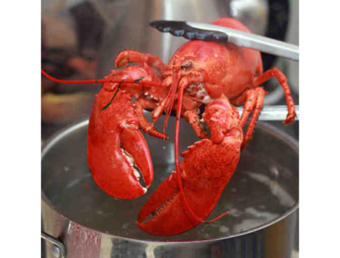 Live Maine Lobsters - 10 count