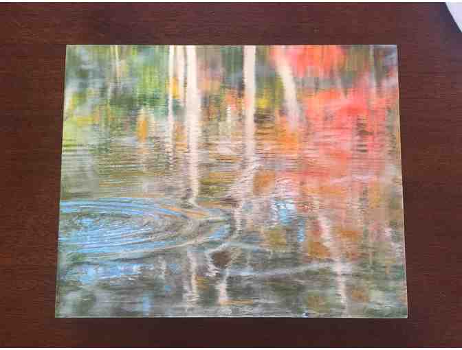 Bending Birches by Deb Desmond Meserve