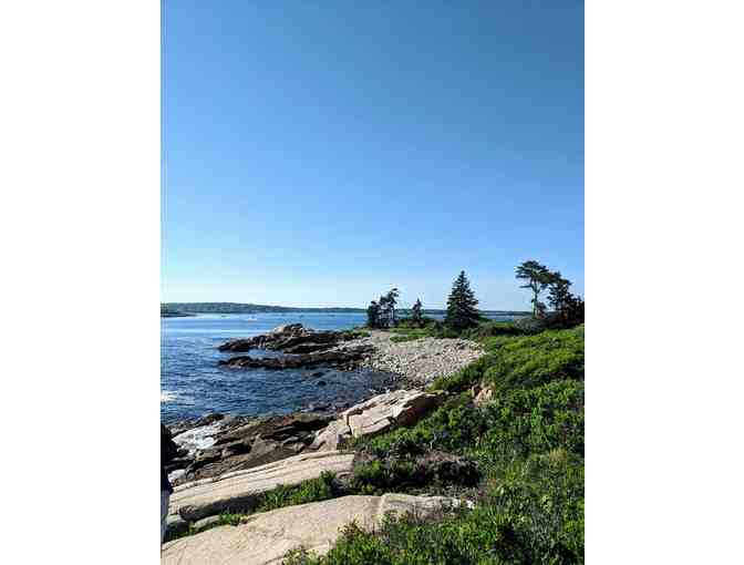 Harbor Cruise & Lighthouse Tour