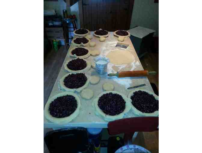 Pies for your Thanksgiving - from Five Acre Farm