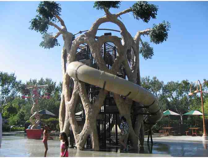 Play Among the Trees at Gilroy Gardens Family Theme Park