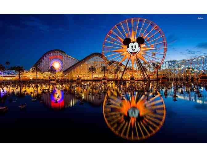 Experience the Magic at Disneyland Resorts