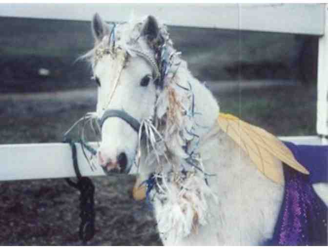 Pony and Barnyard Fun in Half Moon Bay