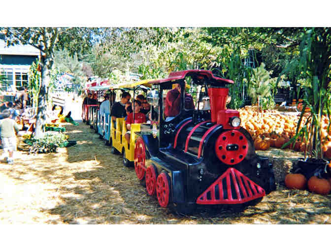 Fun on Lemos Family Farm in Half Moon Bay