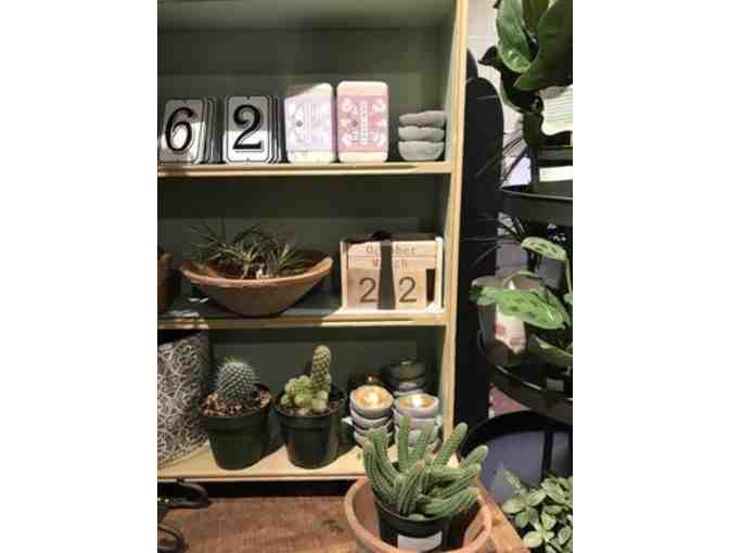 Home Decor Collection from Daisy's