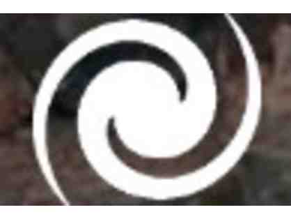 Spin Art Nation Phoenix free splatter session