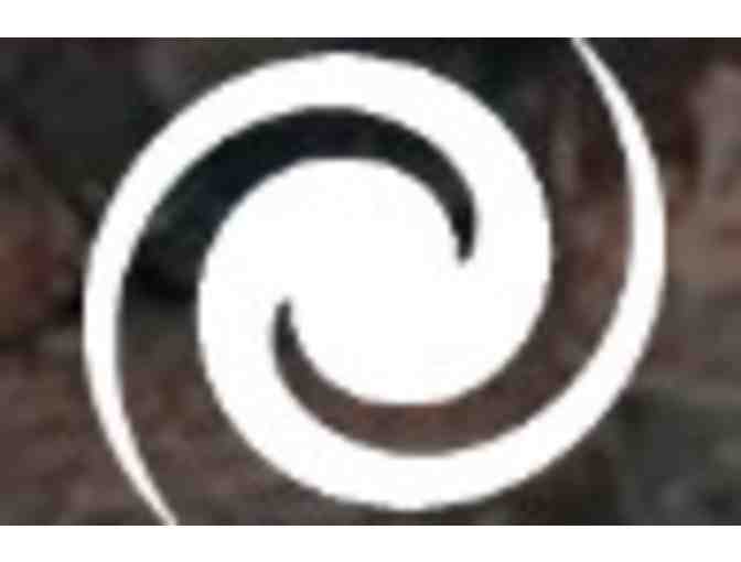 Spin Art Nation Phoenix free splatter session - Photo 1