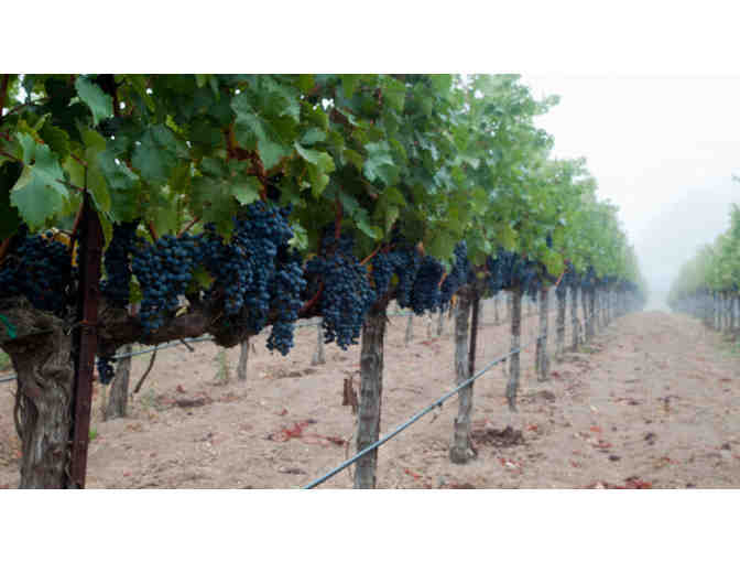 NAPA VALLEY VACATION HOME FOR UP TO 16 PERSONS - 4 Days/3 Nights