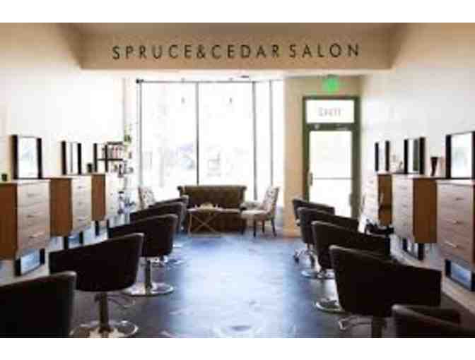 One Short Hair Cut / Month for a Year