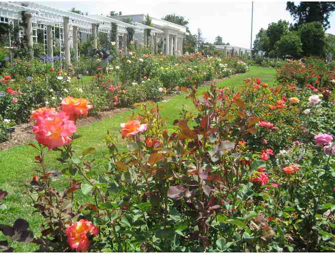 2 guest Admission passes to the Huntington's gardens, art galleries, and library