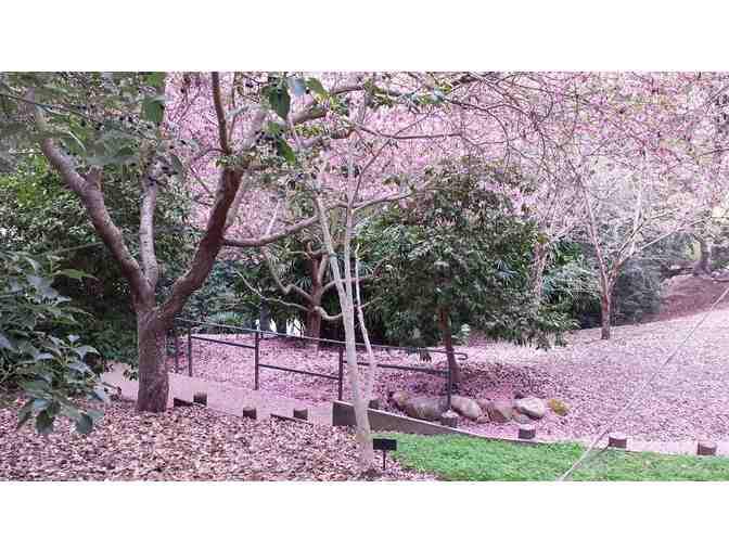 2 guest Admission passes to the Huntington's gardens, art galleries, and library