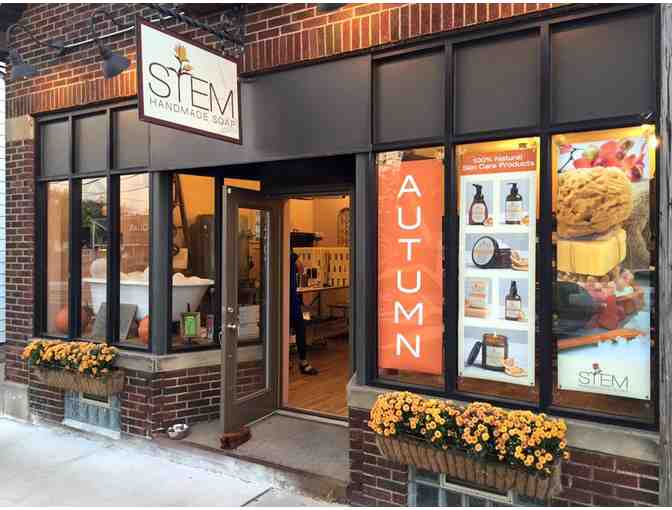 Year Supply of STEM Handmade Soap