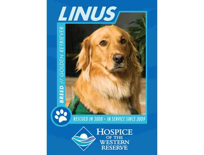 Pampered Pooch Package-donated by Hospice of the Western Reserve