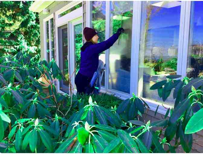 Lakewood Window Cleaning Gift Certificate - $100.00