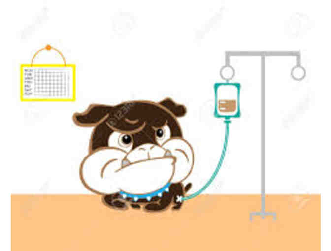 VCA Animal Hospital - Coppell -  Medical, Grooming, Boarding  - $100 Gift Certificate